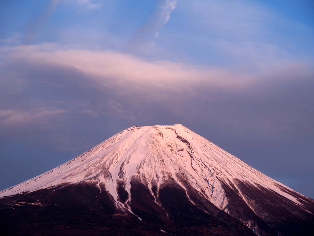 ������������̗[�Ă��ƕx�m�R