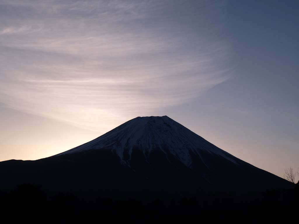 ������������̕x�m�R