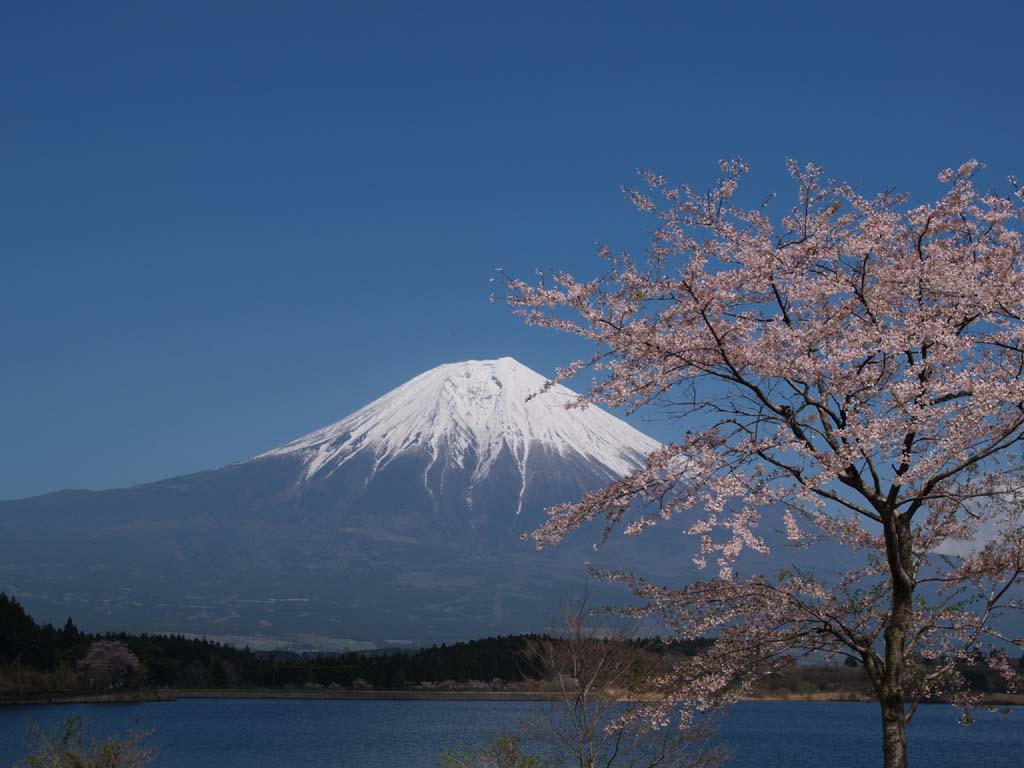 �x�m�R�ƍ�