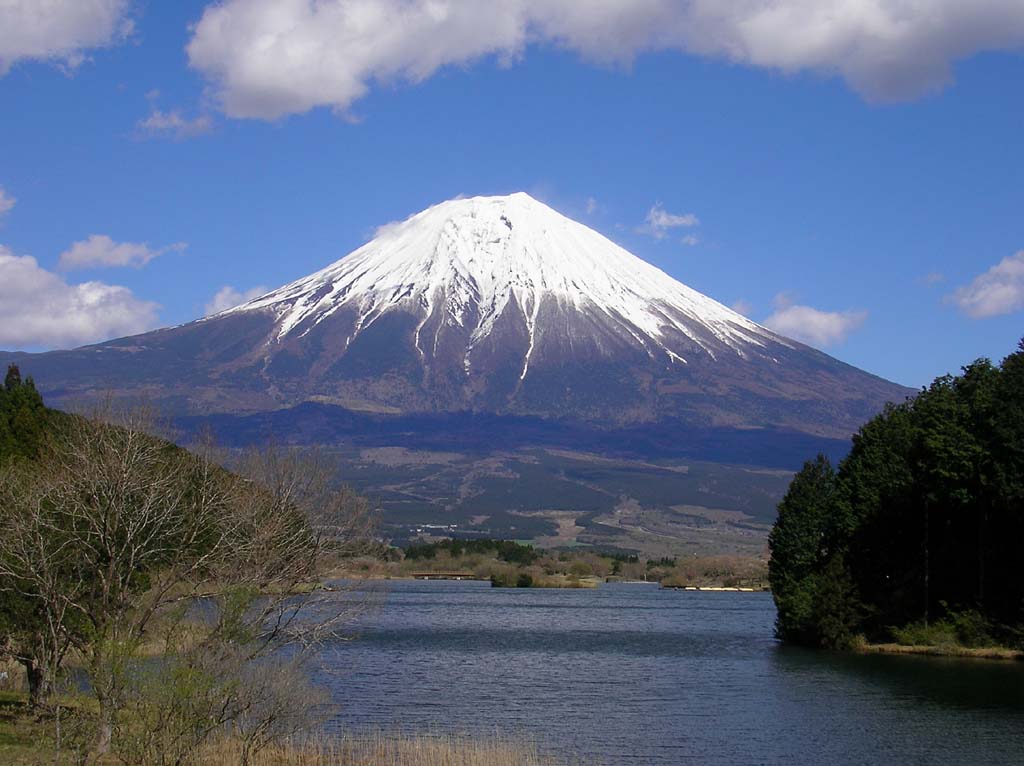 �x�ɑ�����̕x�m�R