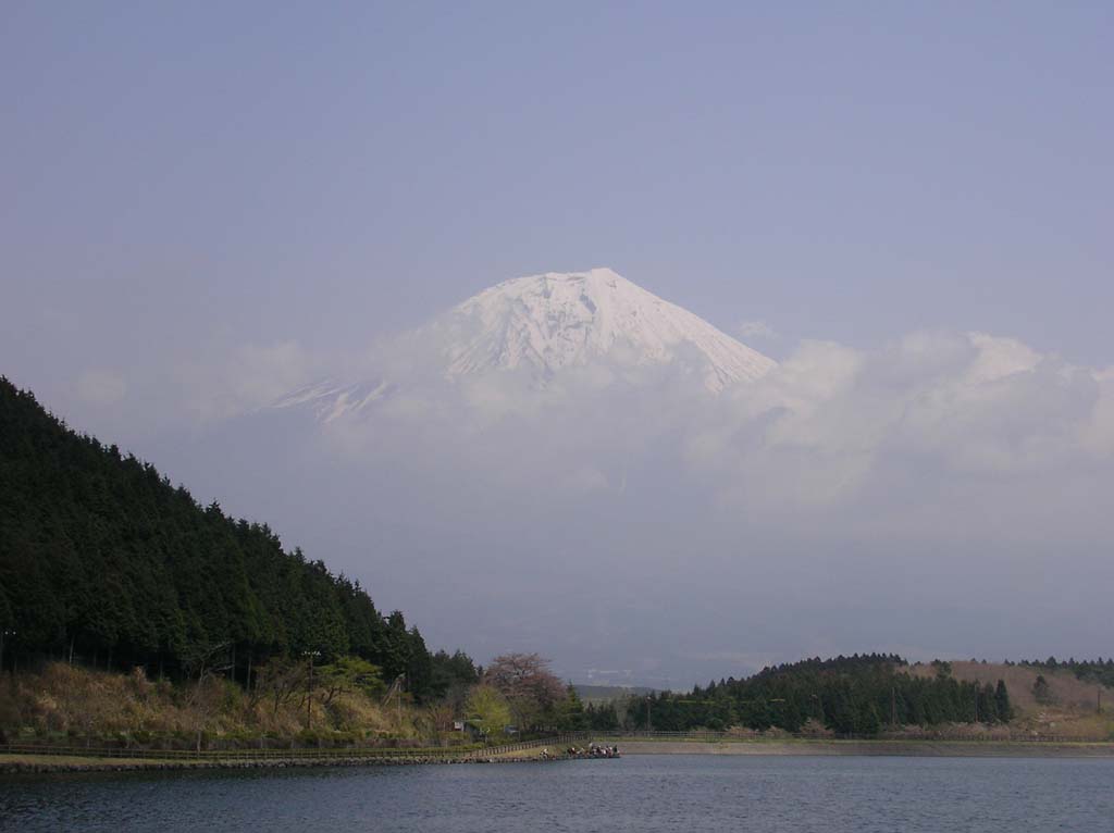 24���c�ь΂���̕x�m�R