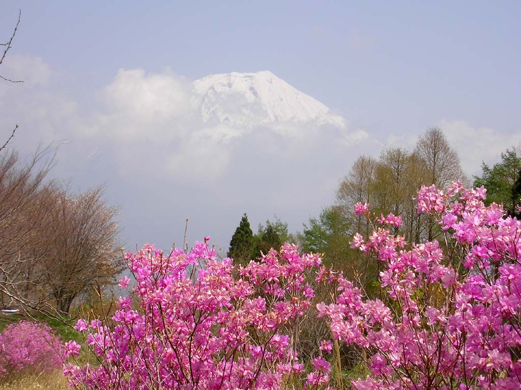 �~�c�o���ƕx�m�R