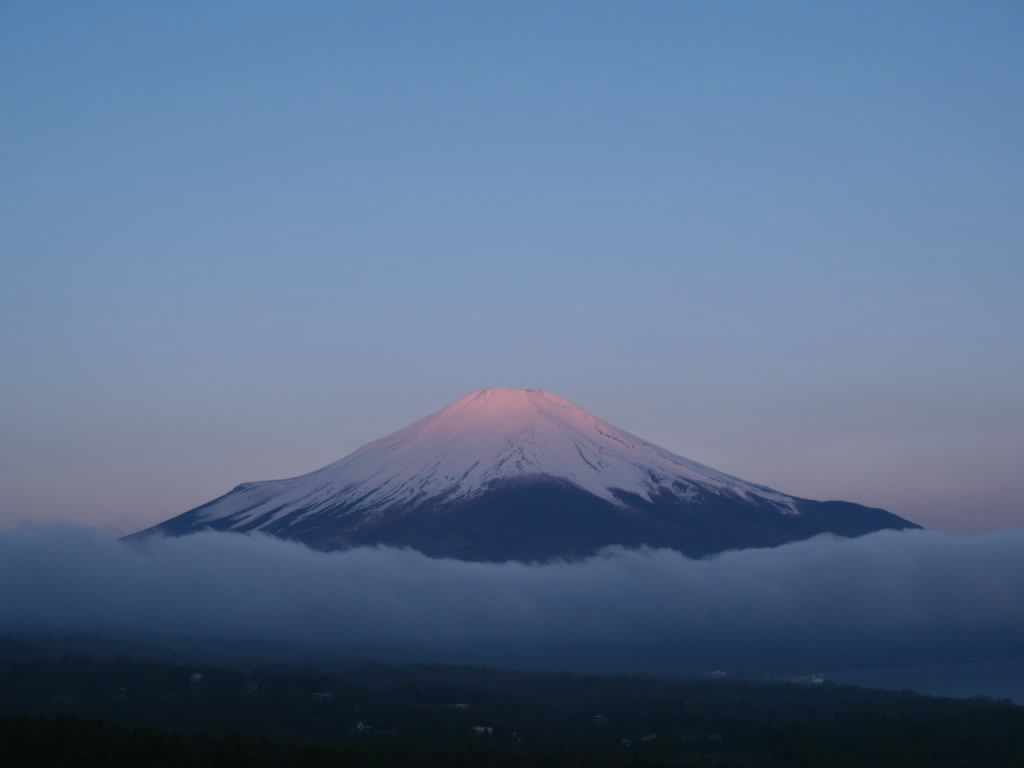 �R���΂���̒��Ă�