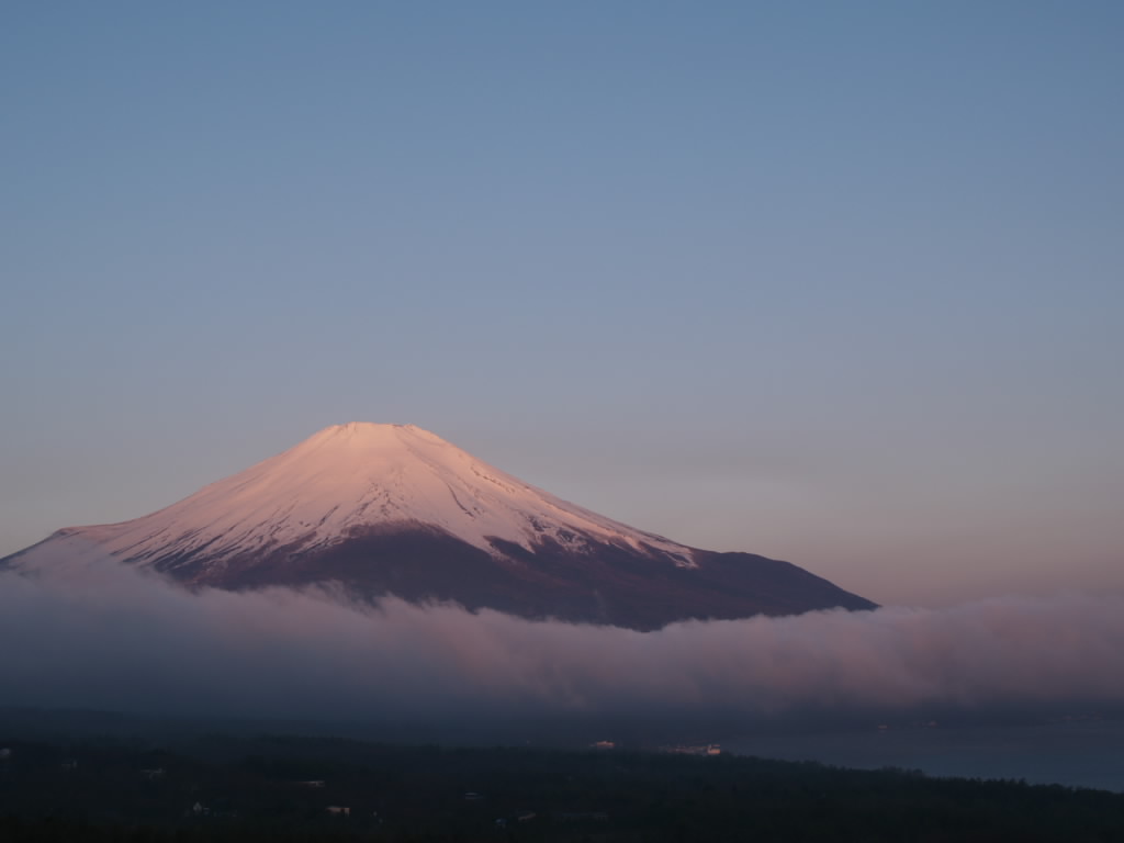 �R���΂���̒��Ă�(2)