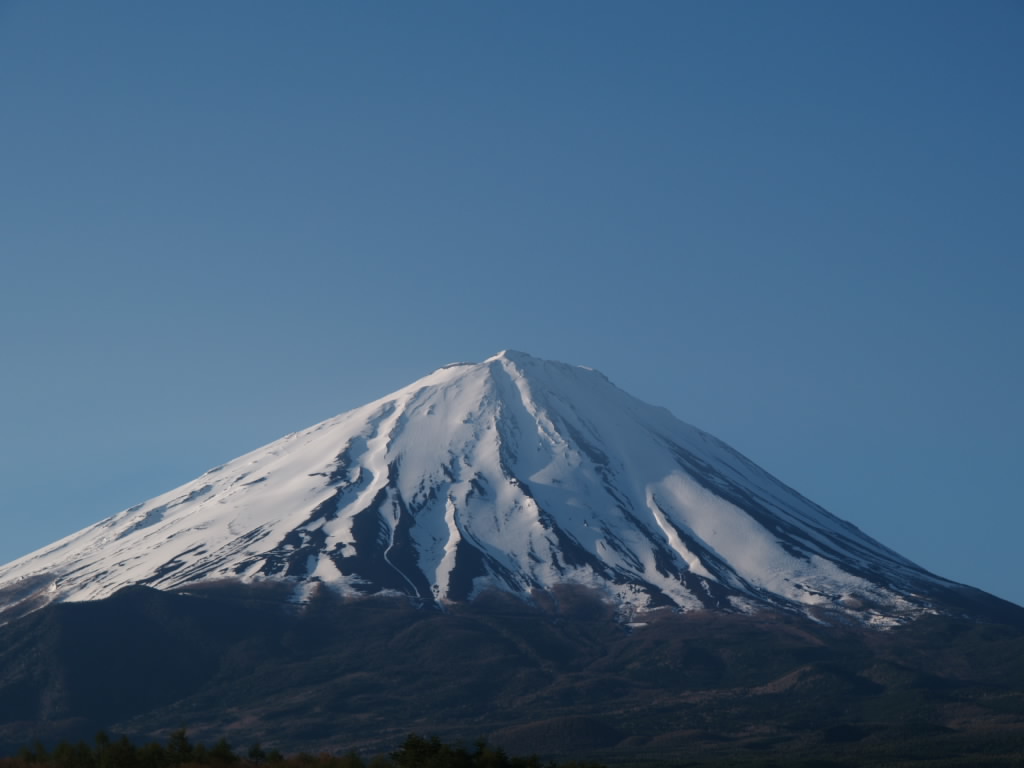 �򂩂�̕x�m�R