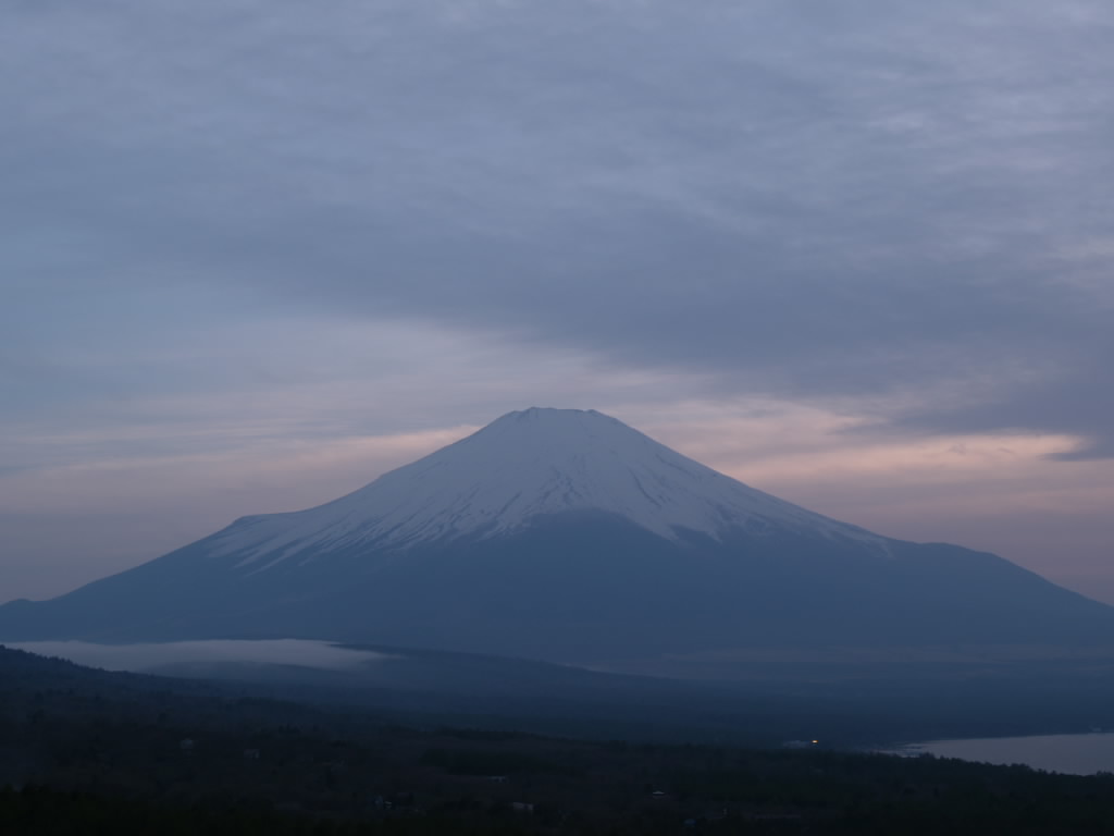 �R���΂���̗[�Ă�