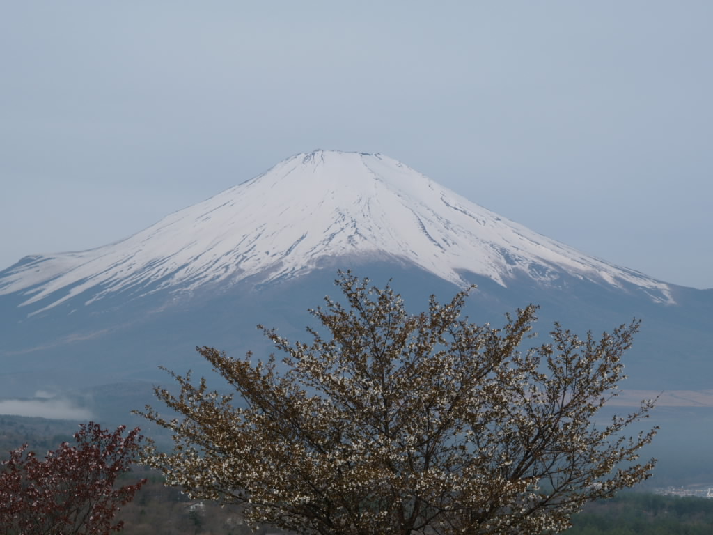 ���ƕx�m�R