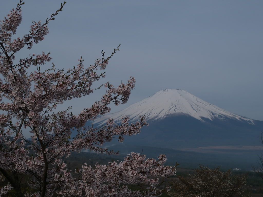 ���ƕx�m�R(2)