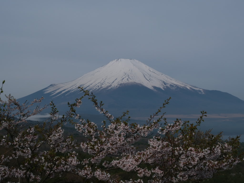 ���ƕx�m�R(3)