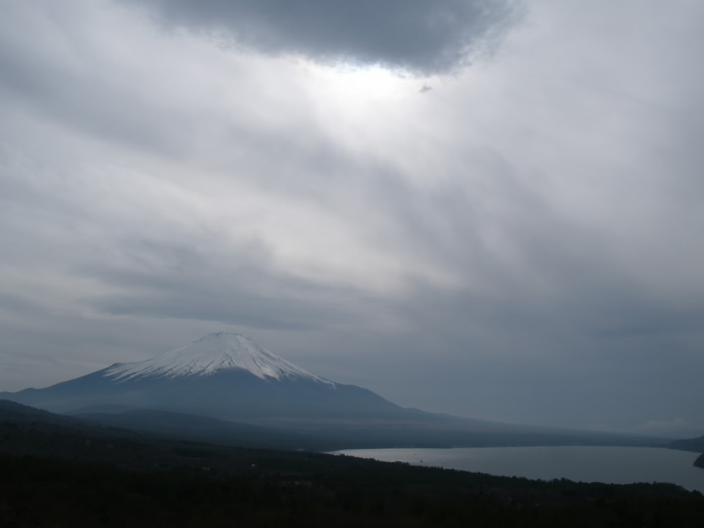 �P�_���ǂ��ƕx�m�R