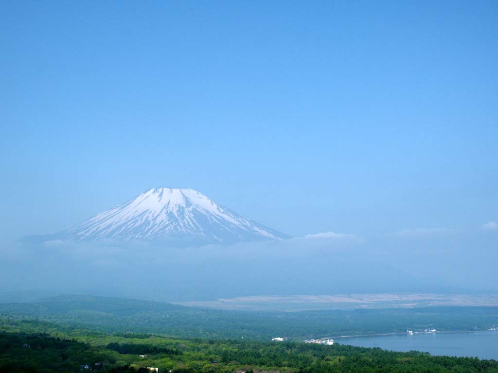 �V�΂ƕx�m�R