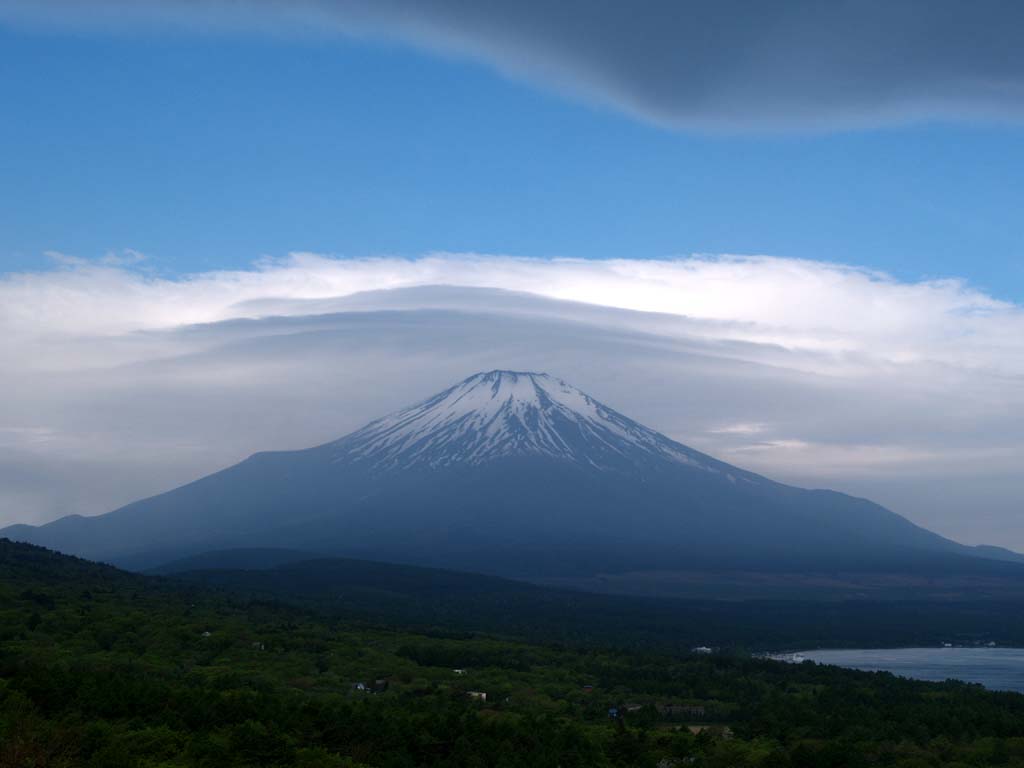 �P�_���ǂ��ƕx�m�R