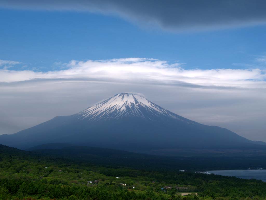 �������P�_�ƕx�m�R