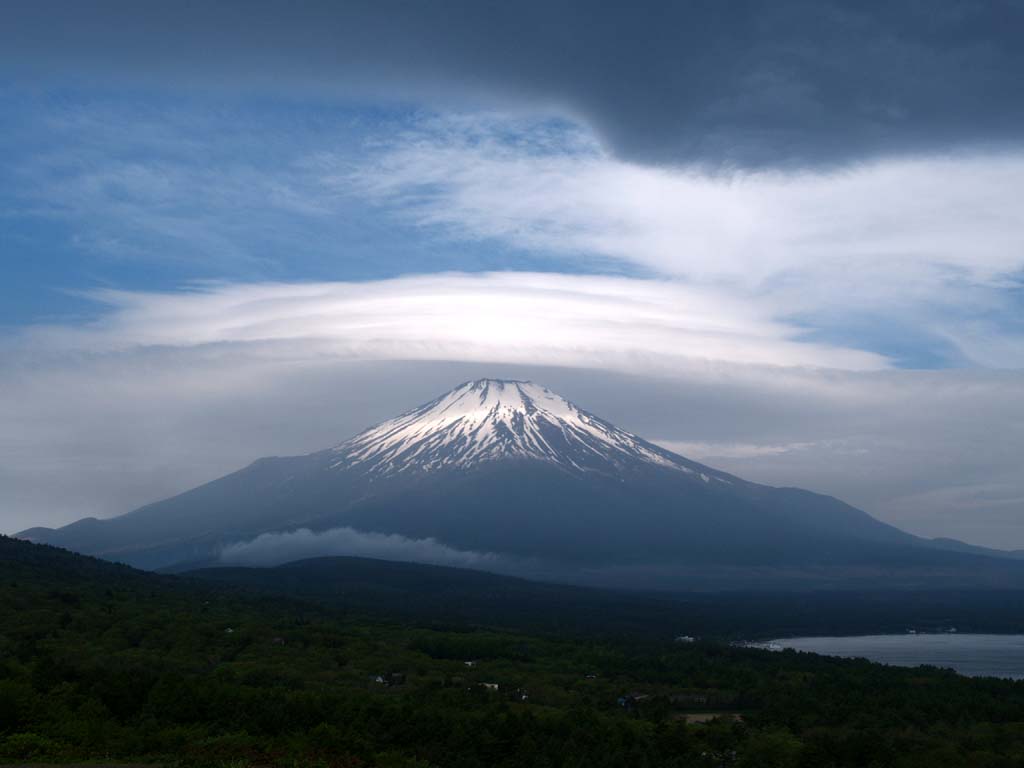 �݂邵�_�ƕx�m�R