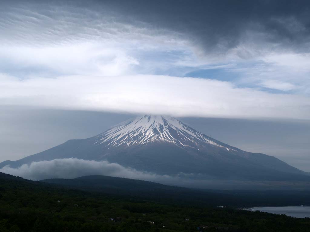 �P�����Ԃ����x�m�R