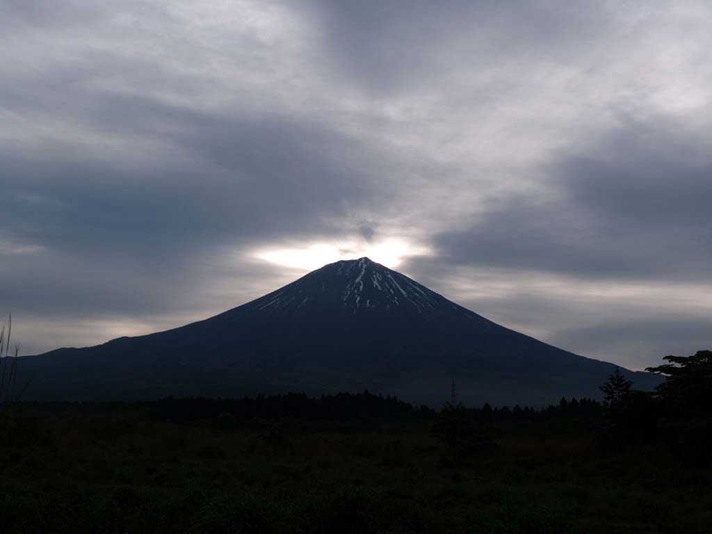 ���̓�����̃_�C�������h���ǂ��ƕx�m�R