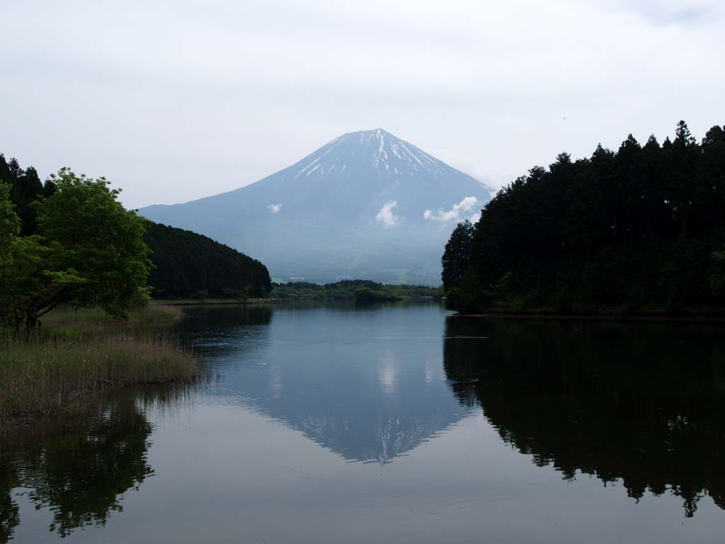 �c�ь΋x�ɑ�����̋t���x�m