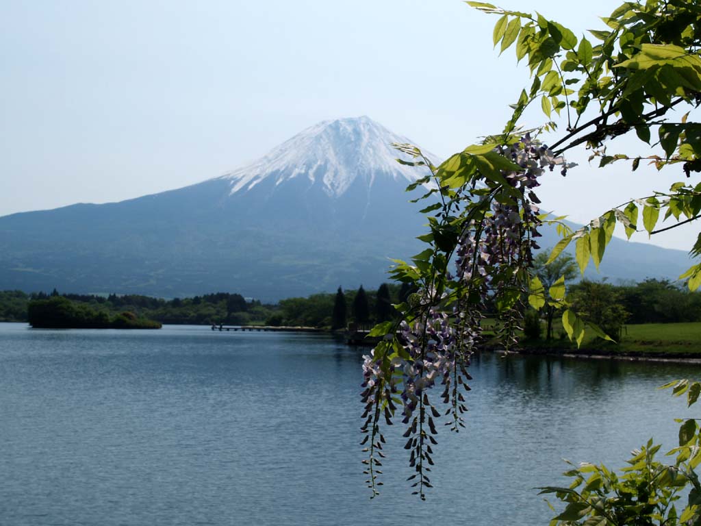 ���ƕx�m�R