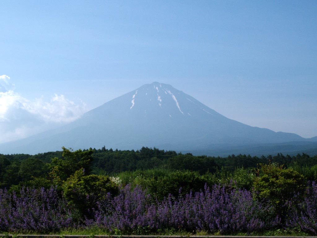 �򂩂�̃��x���_�[�ƕx�m�R