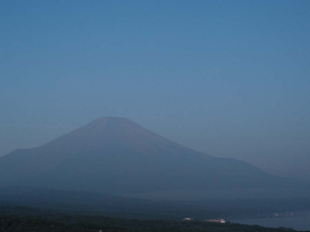 ���̒��̕x�m�R