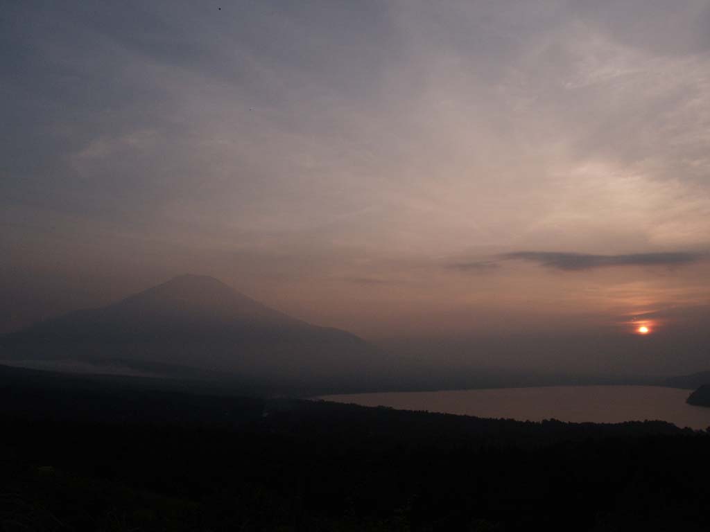 ���̒��̓��̓���ƕx�m�R