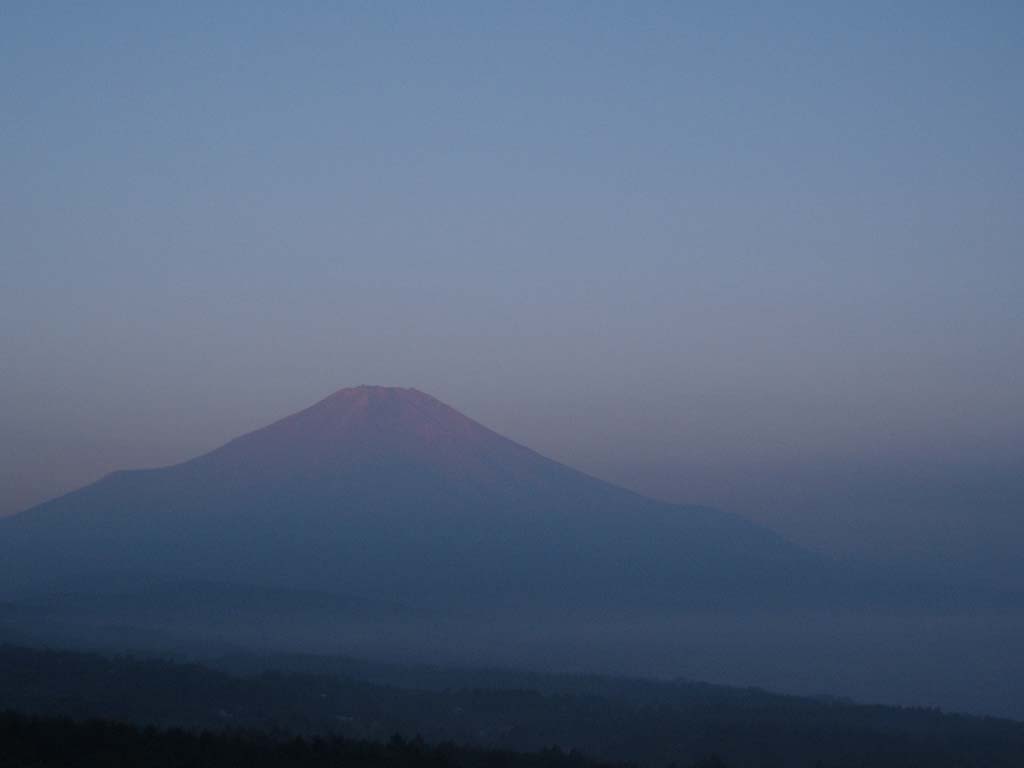 8/4���̒��Ă��ƕx�m�R