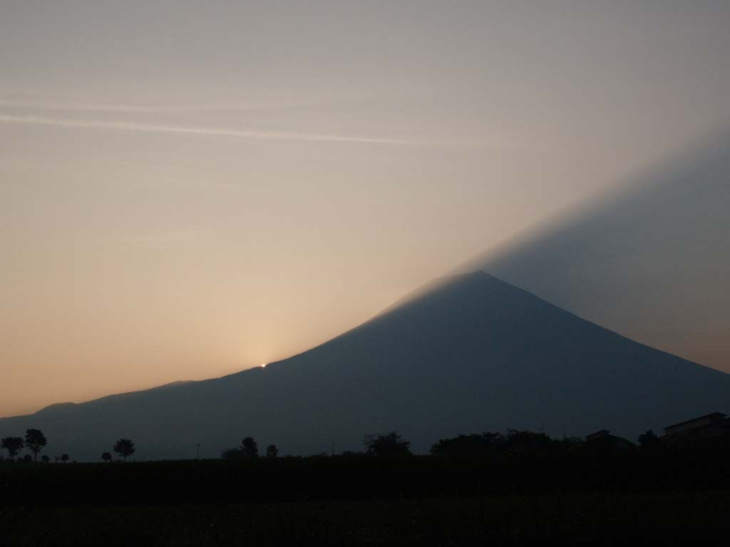 ������������̕x�m�R�̓��̏o