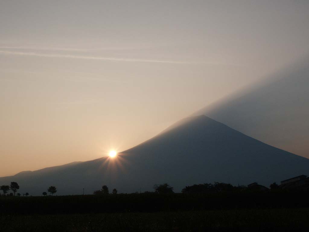 ������������̕x�m�R�̓��̏o(2)