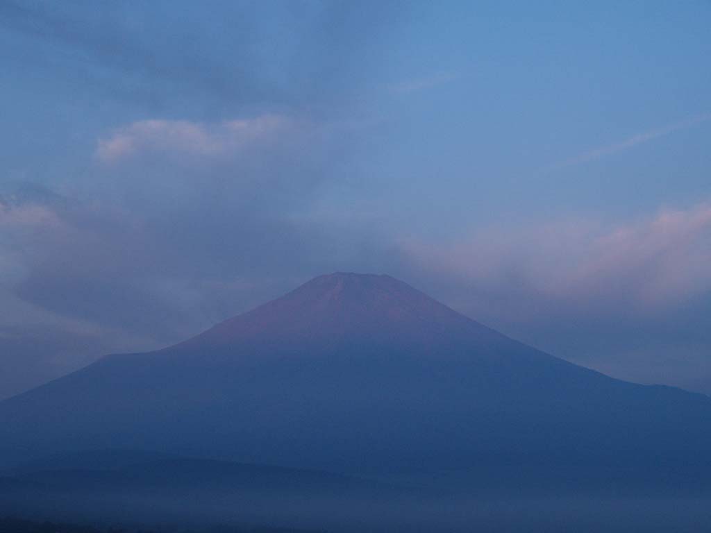 �R���΂���̒��Ă��ƕx�m�R