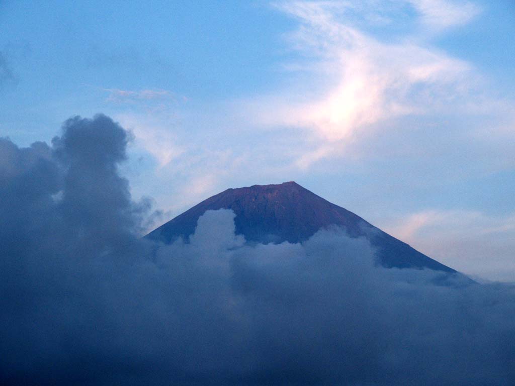 19���@�[�Ă��ƕx�m�R