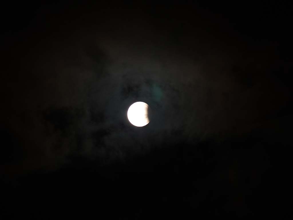 �F�����H�ł�