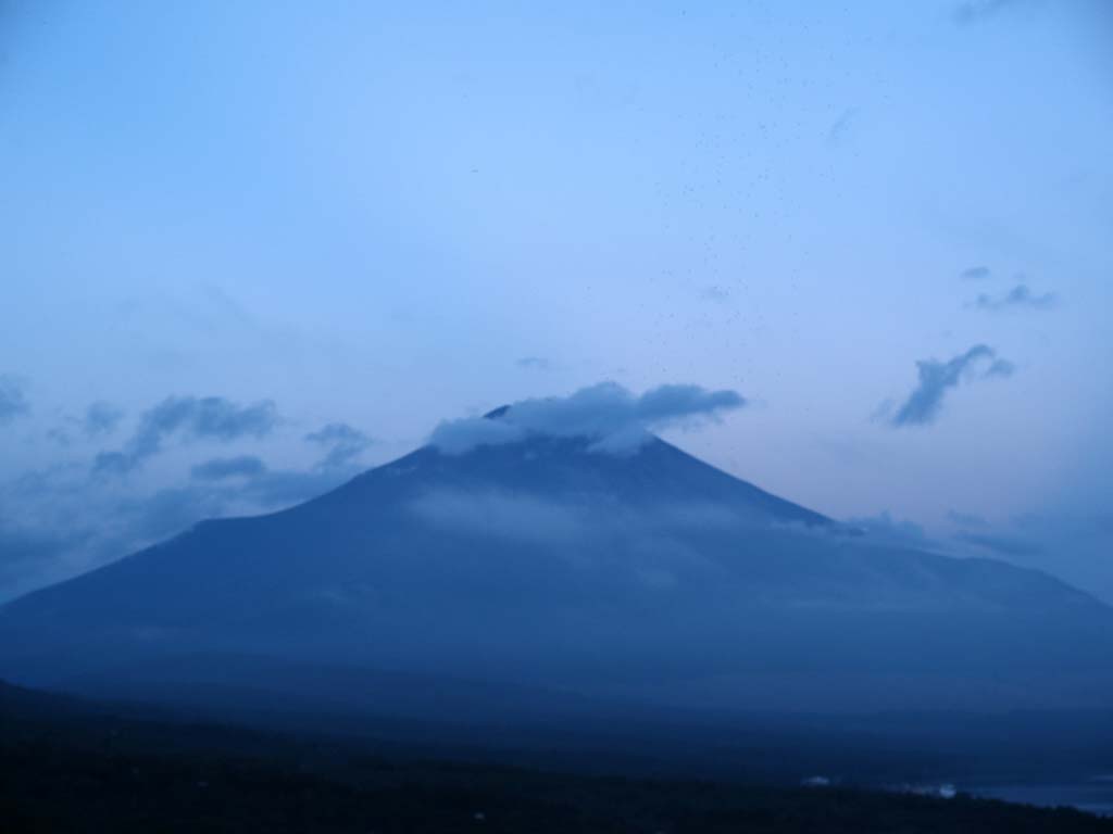 ���Ă����Ԃ̕x�m�R