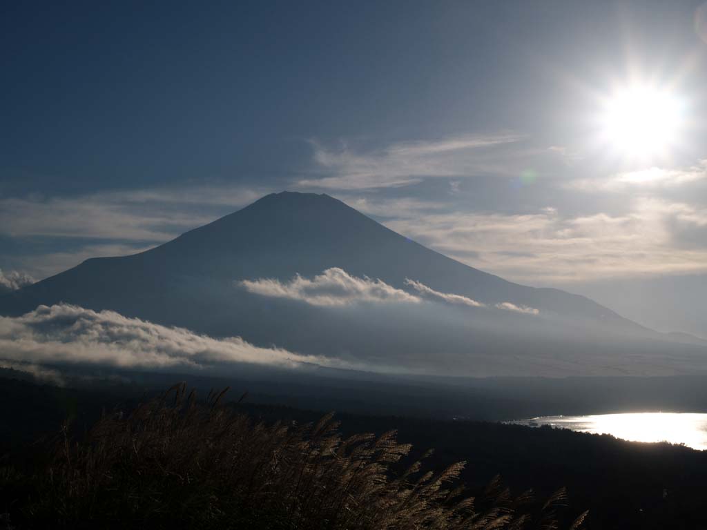 �X�X�L�ƕx�m�R(2)