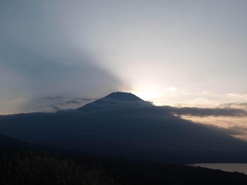 �R���΂���̓��̓���