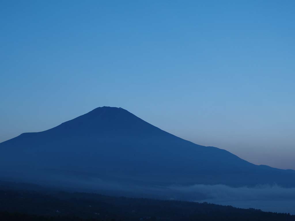 �p�m���}�䂩��̒��Ă�