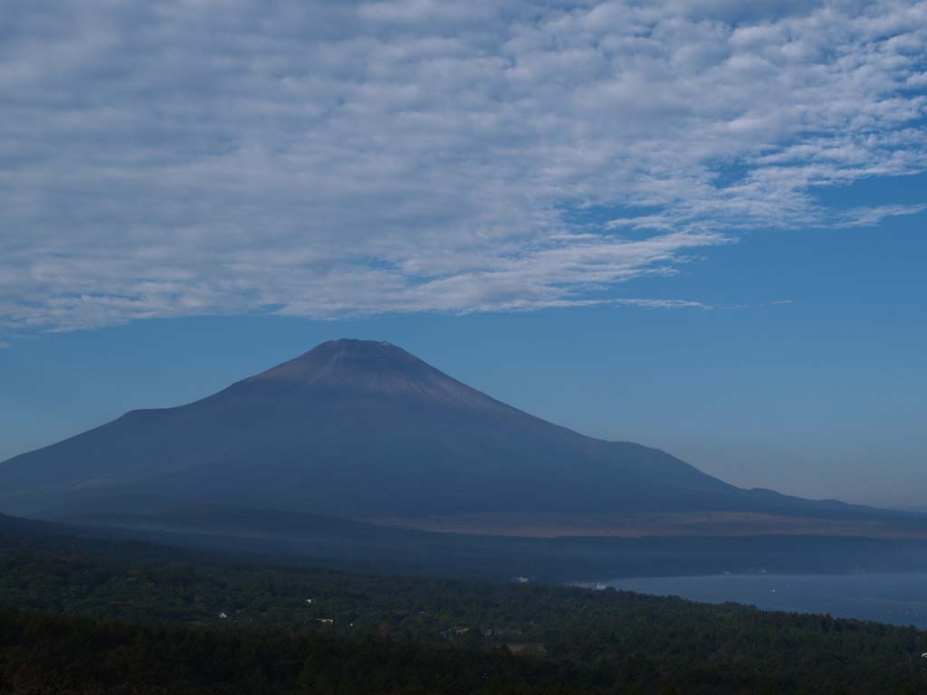 ���낱�_�ƕx�m�R