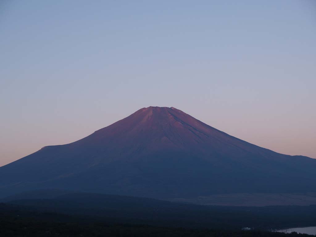 16���̒��Ă�