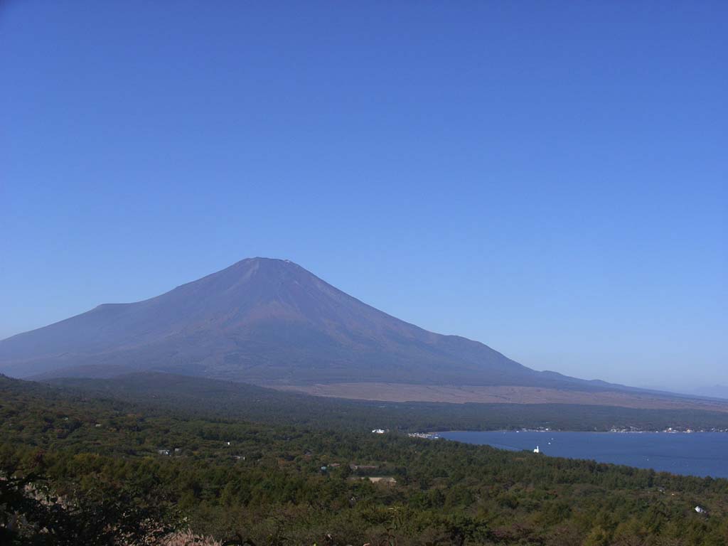 ���ꂢ�ȕx�m�R