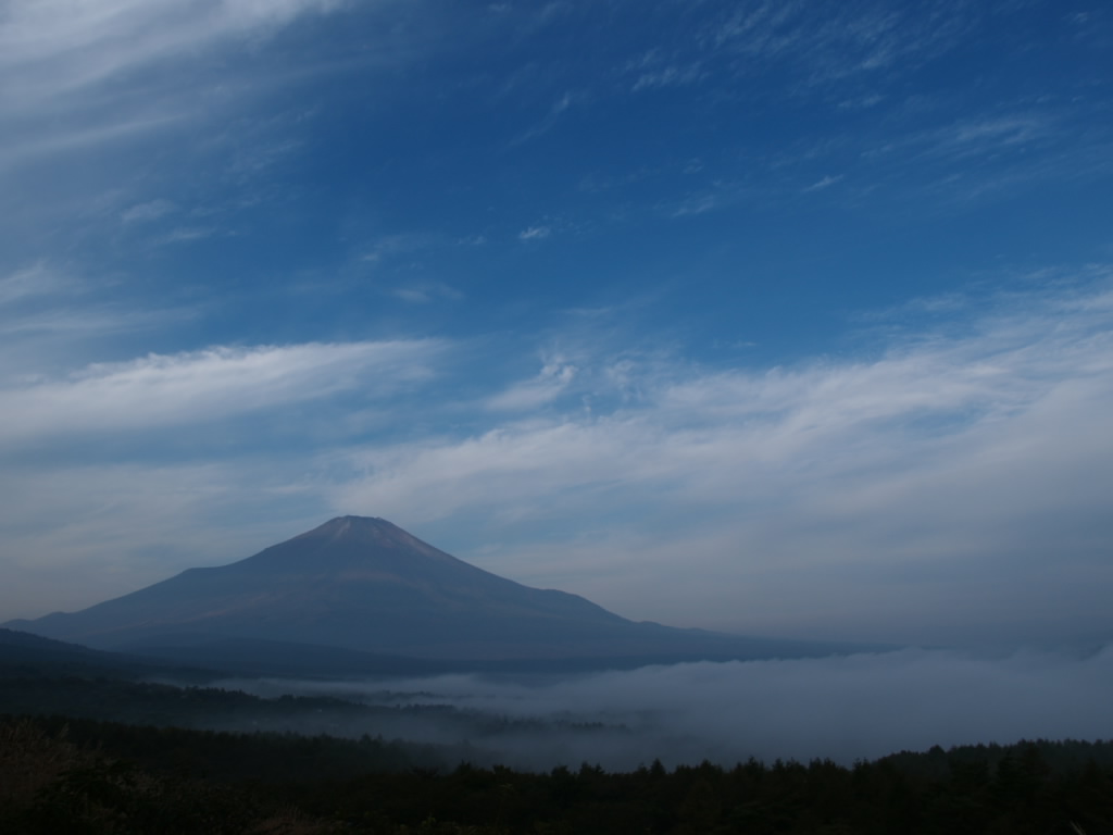 �_�C�Ɖ_�ƕx�m�R