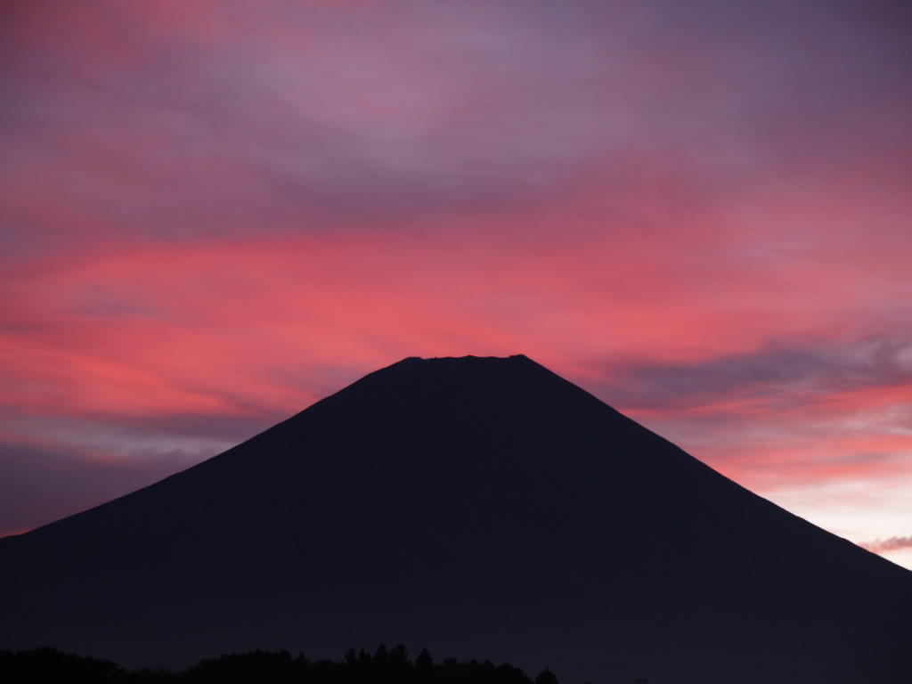 20���̒��Ă�