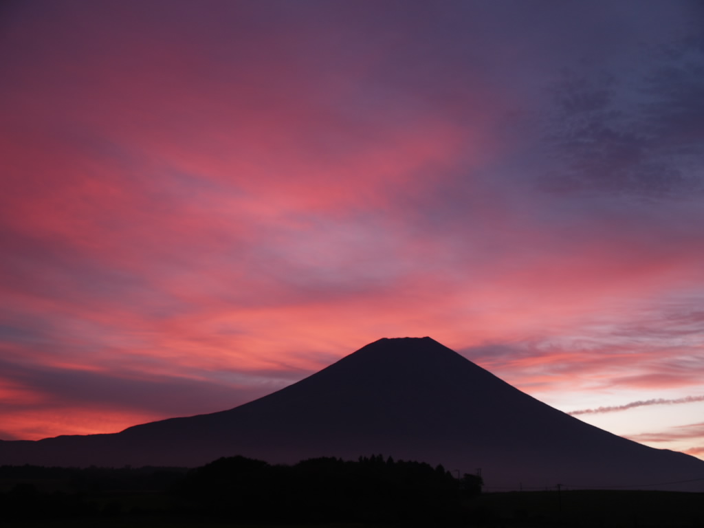 20���̒��Ă�(2)