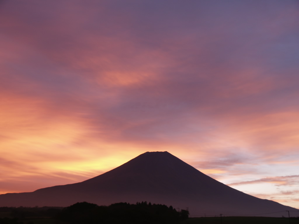 20���̒��Ă�(4)