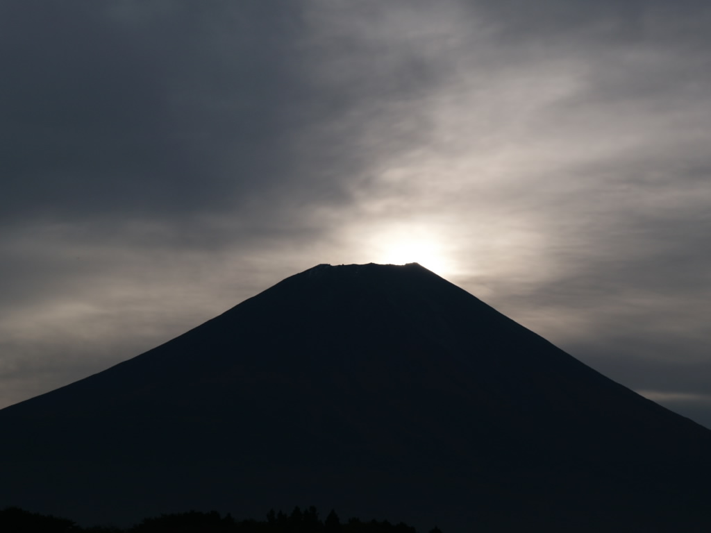 20���̃_�C�������h���ǂ�