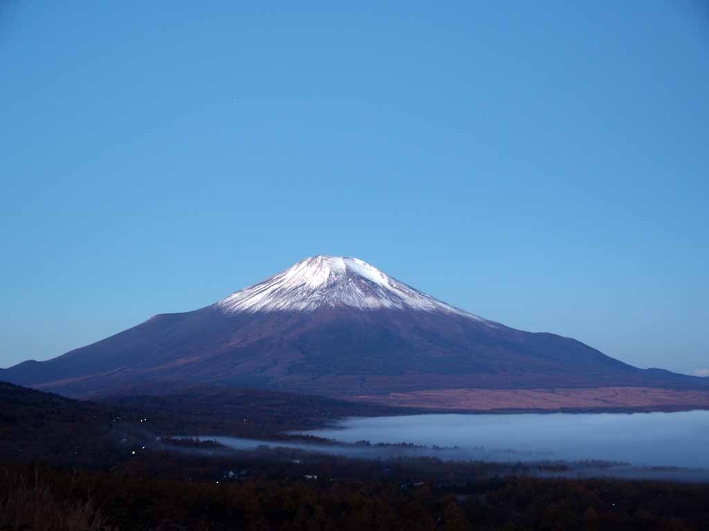 �_�C�ƕx�m�R