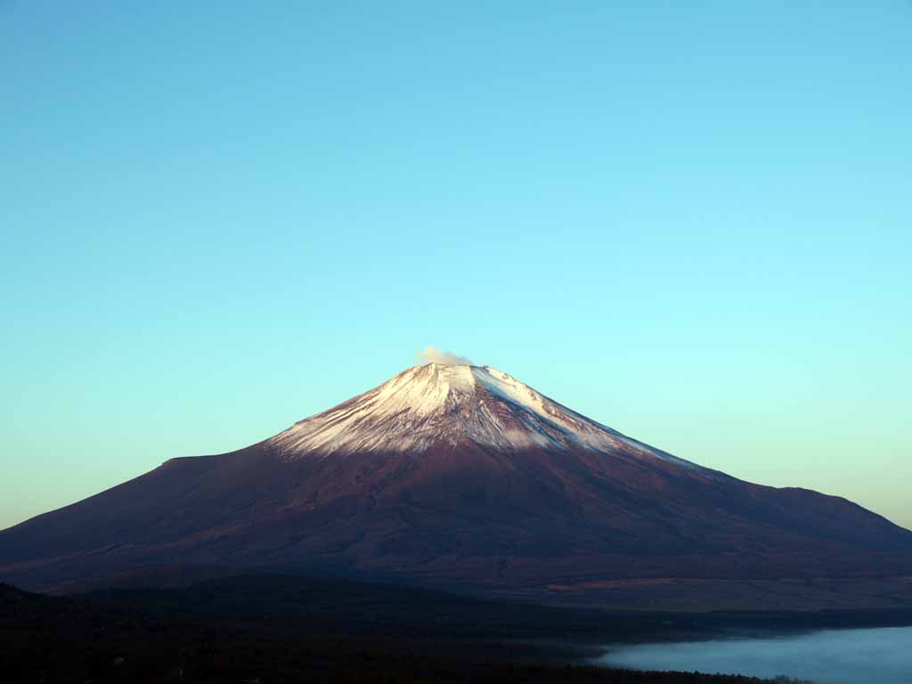 �p�m���}�䂩��̒��Ă��ƕx�m�R