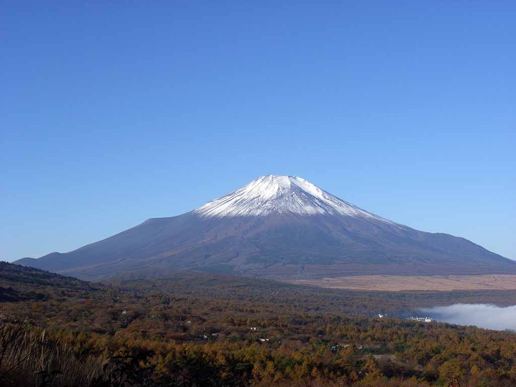 ������ꂽ���ꂢ�ȕx�m�R