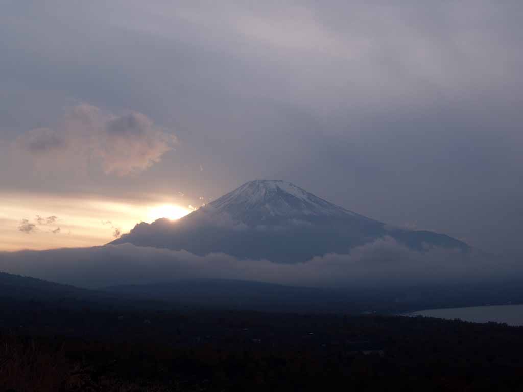 �[�Ă��ƕx�m�R