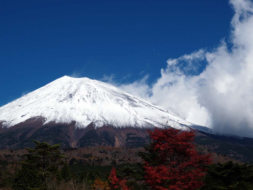 ���P�˂���̍g�t�ƕx�m�R