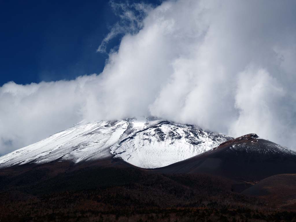 ���K�ˌ�������̕x�m�R