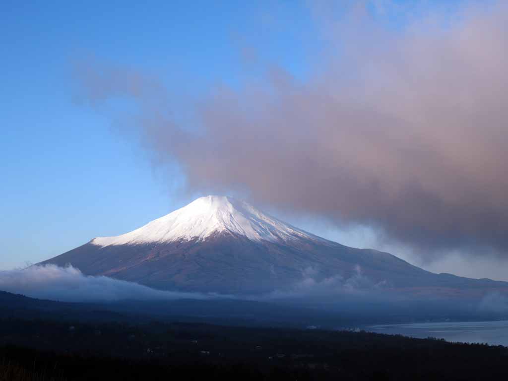 �R���΂���̒��Ă��ƕx�m�R